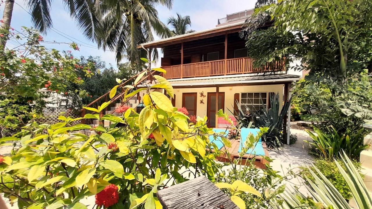 Amanda'S Place Green Studio - Pool And Tropical Garden Caye Caulker Exterior foto