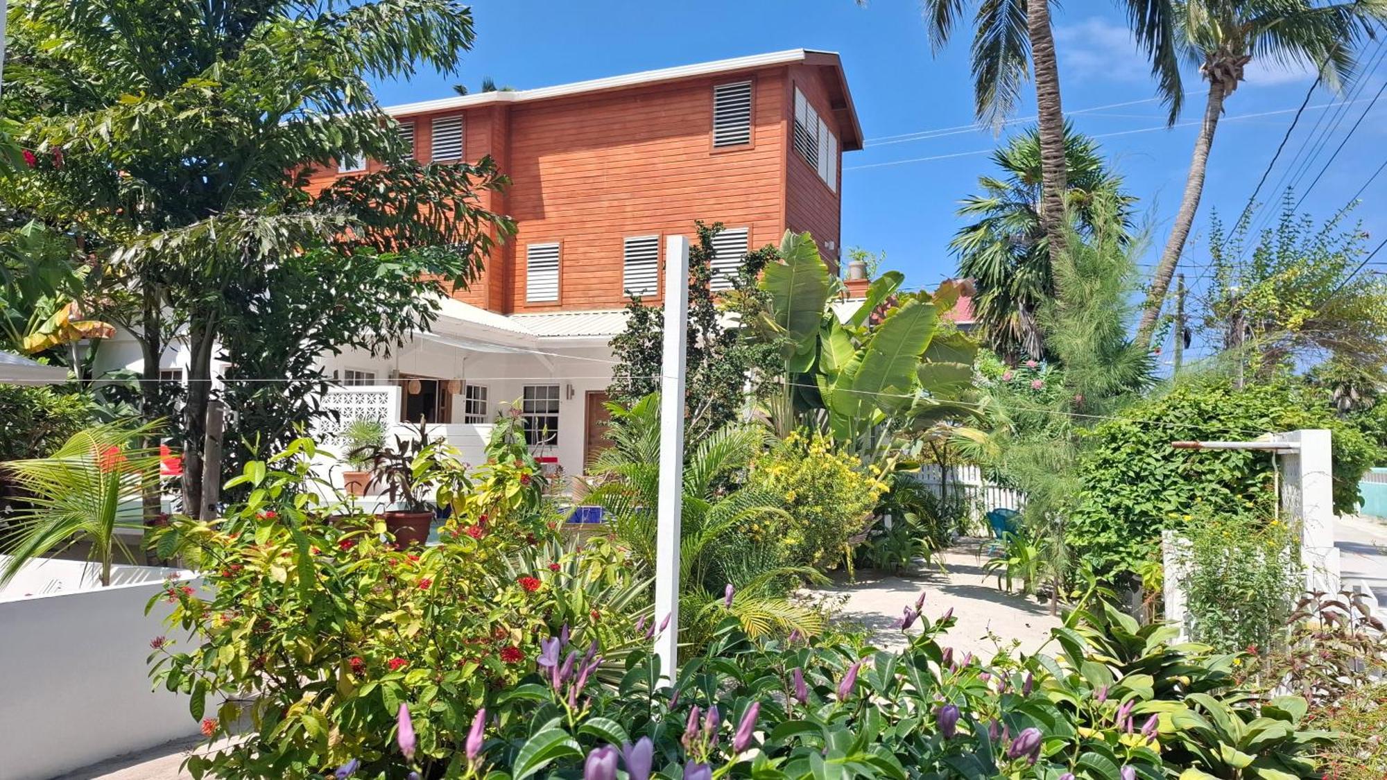 Amanda'S Place Green Studio - Pool And Tropical Garden Caye Caulker Exterior foto