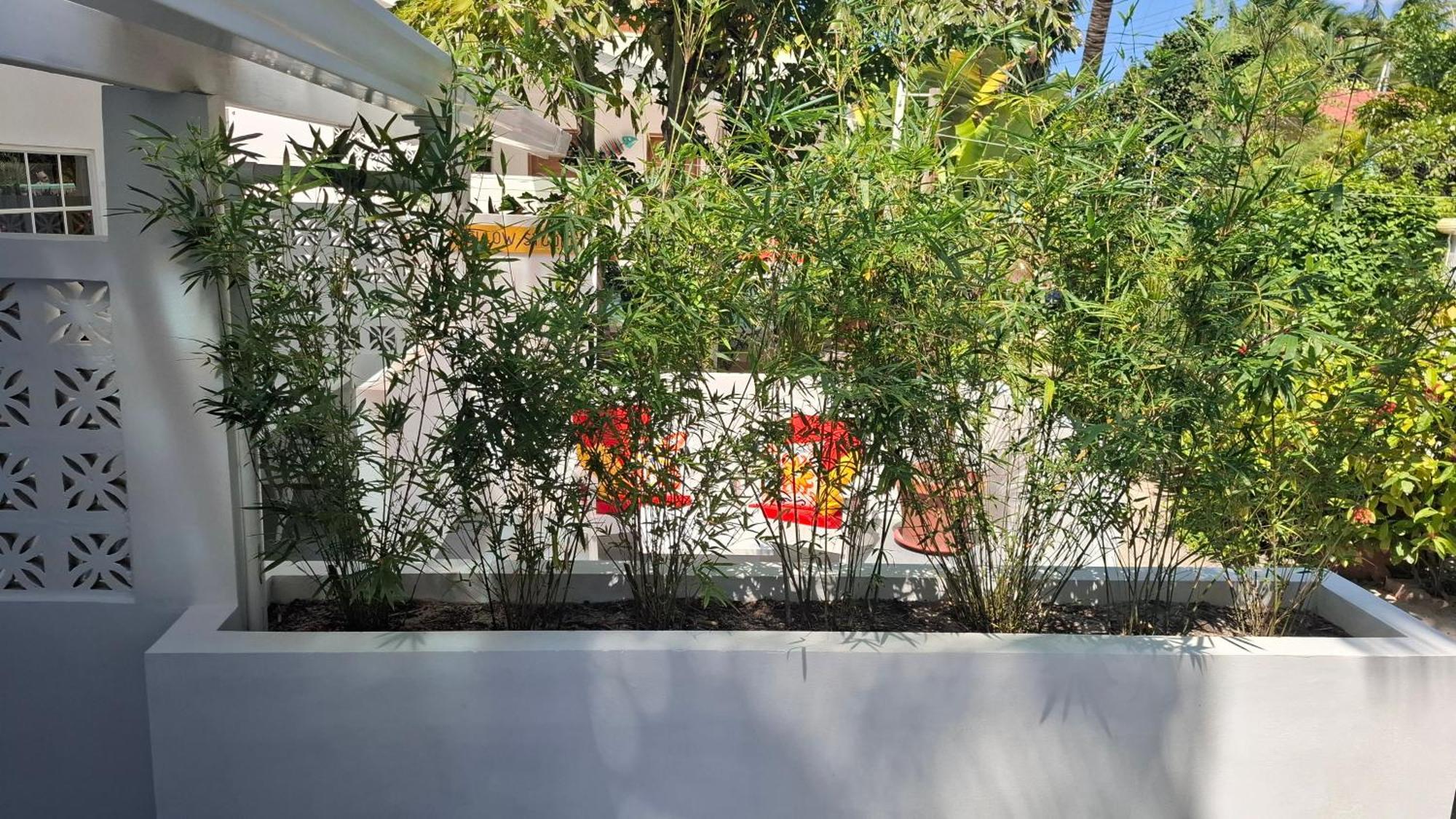 Amanda'S Place Green Studio - Pool And Tropical Garden Caye Caulker Exterior foto