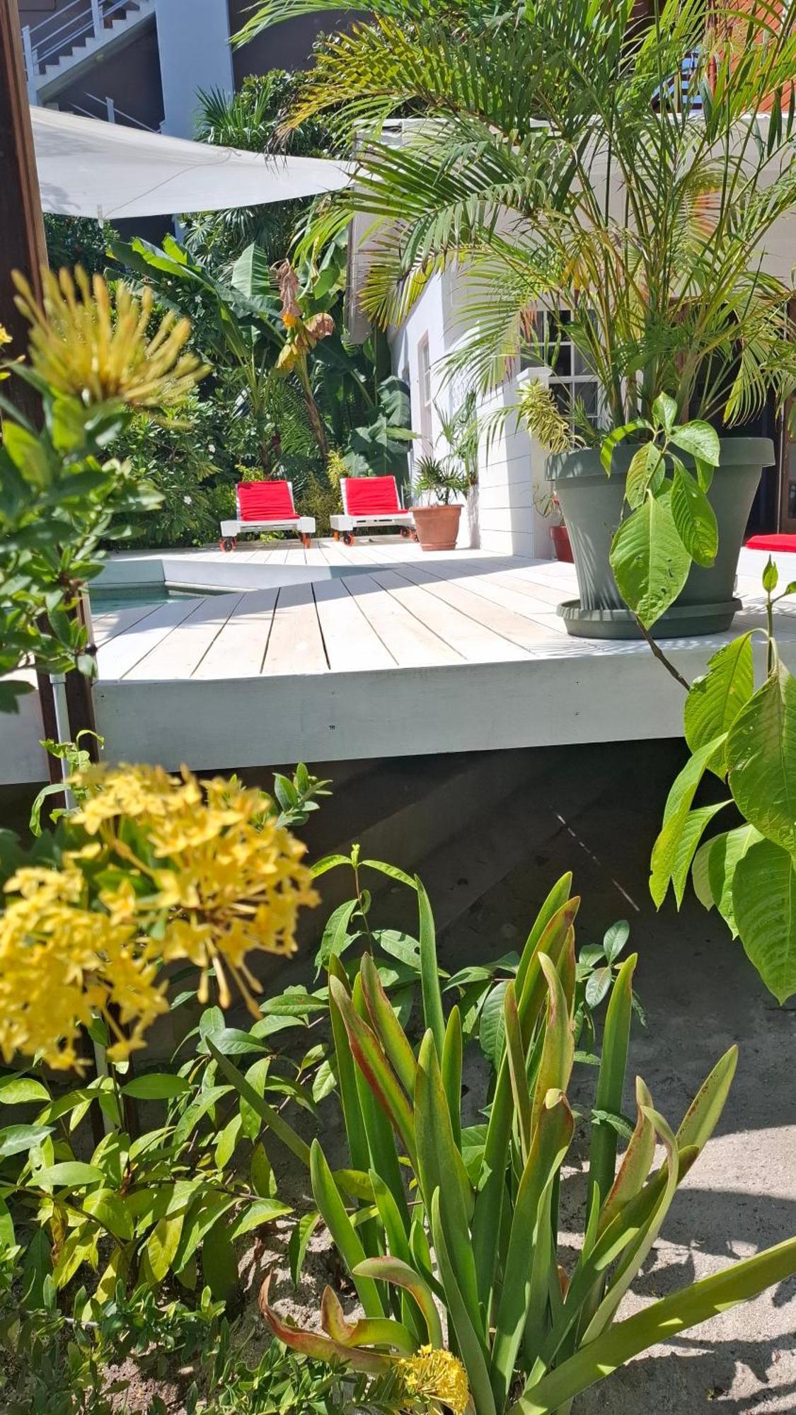 Amanda'S Place Green Studio - Pool And Tropical Garden Caye Caulker Exterior foto